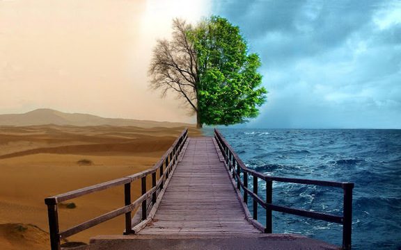 The Kingdom Debate: Enduring or Transforming?