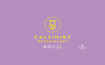 Calvinist Soteriology